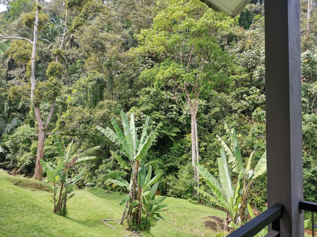 Sementra Nature Resort Gopeng Exterior foto